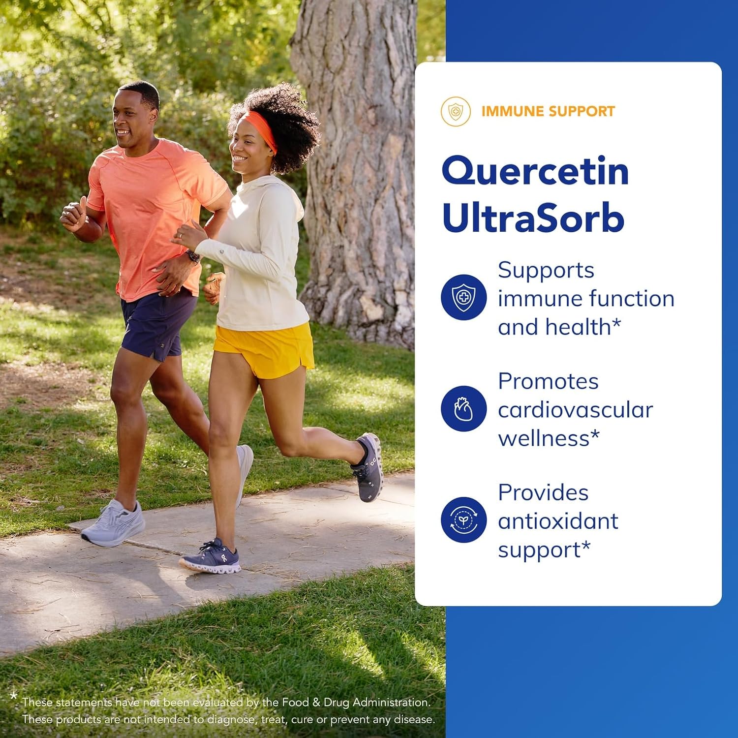 Quercetin UltraSorb 90c